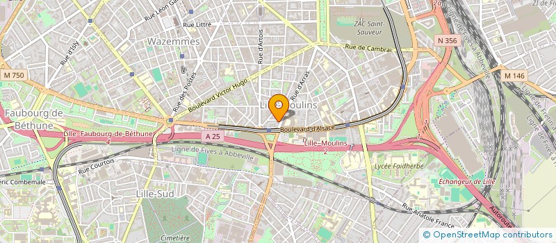 localisation de l'entreprise MADAME SAMIA ZOUINE à LILLE