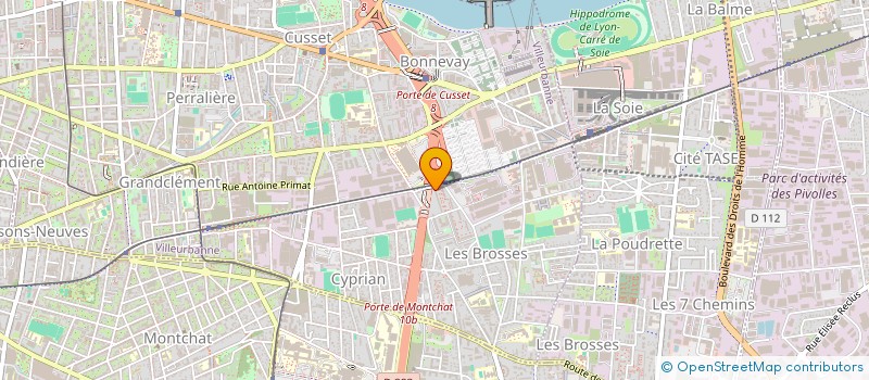 localisation de l'entreprise MADAME SAMIRA BEDOUII  VILLEURBANNE