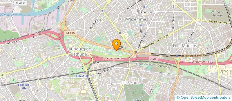 localisation de l'entreprise MADAME SAMIRA EL HAMDI à LILLE