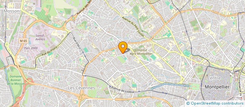 localisation de l'entreprise MADAME SAMIRA KEZAZ à MONTPELLIER