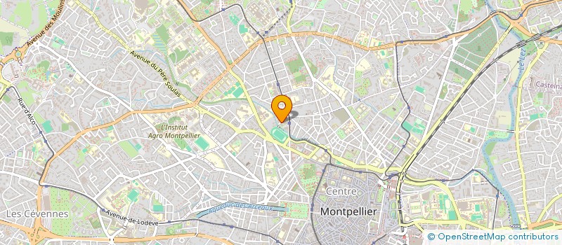 localisation de l'entreprise MADAME SAMIRA MECHOUCHA à MONTPELLIER