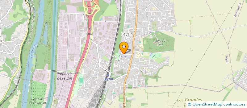 localisation de l'entreprise MADAME SAMIRA OUBOURICH  FEYZIN