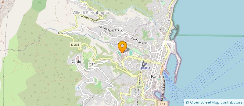 localisation de l'entreprise MADAME SAMRA OUESLATI à BASTIA