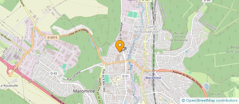 localisation de l'entreprise MADAME SANA BELMKEDDEM  ROUEN