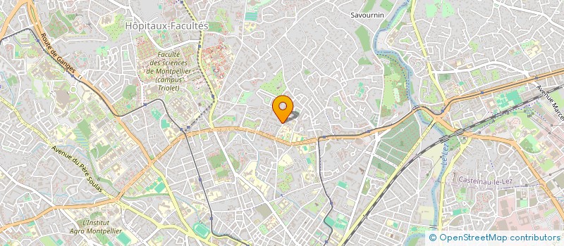 localisation de l'entreprise MADAME SANA ENNACIRI à MONTPELLIER