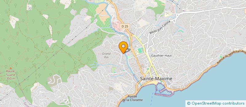 localisation de l'entreprise MADAME SANA SALEM  SAINTE-MAXIME