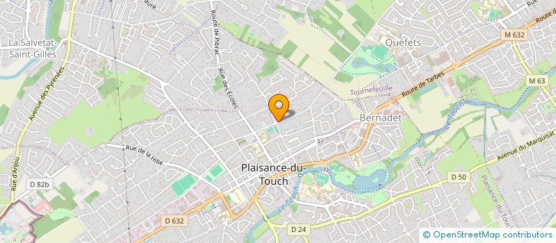 localisation de l'entreprise MADAME SANAA NECIRI  PLAISANCE-DU-TOUCH