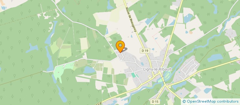 localisation de l'entreprise MADAME SANDRA AZAMBOURG à LIGNY-LE-RIBAULT