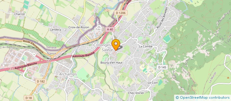 localisation de l'entreprise MADAME SANDRA BUTTIKER  COLLONGES-SOUS-SALEVE