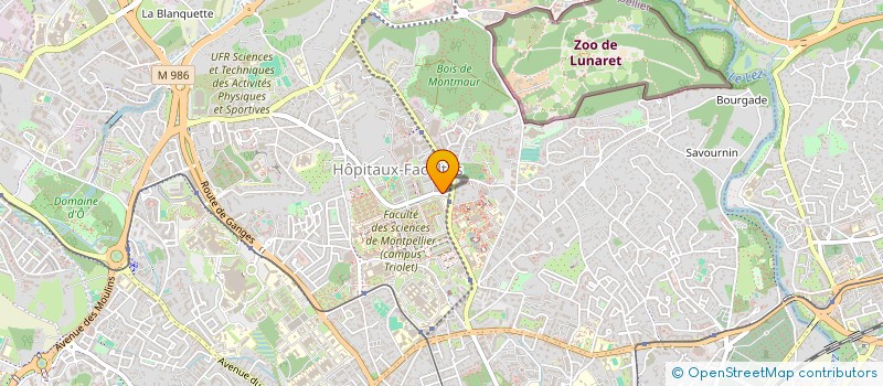 localisation de l'entreprise MADAME SANDRA CASTEL à MONTPELLIER