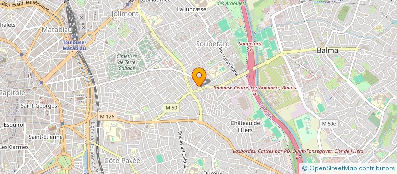 localisation de l'entreprise MADAME SANDRA CHOQUER à TOULOUSE