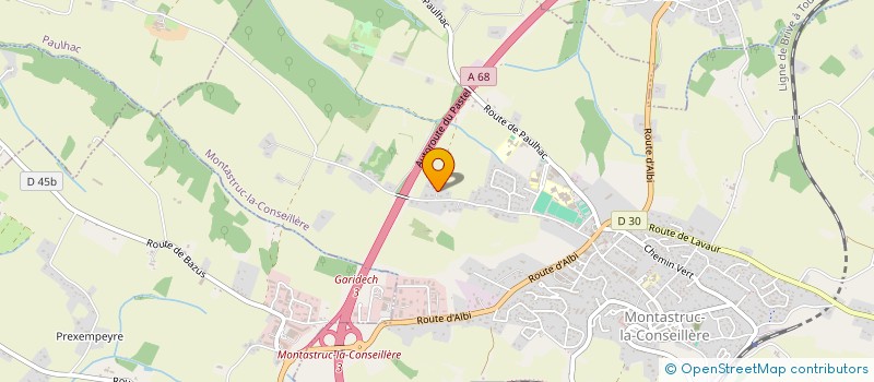 localisation de l'entreprise MADAME SANDRA DIEPEVEEN  MONTASTRUC-LA-CONSEILLERE