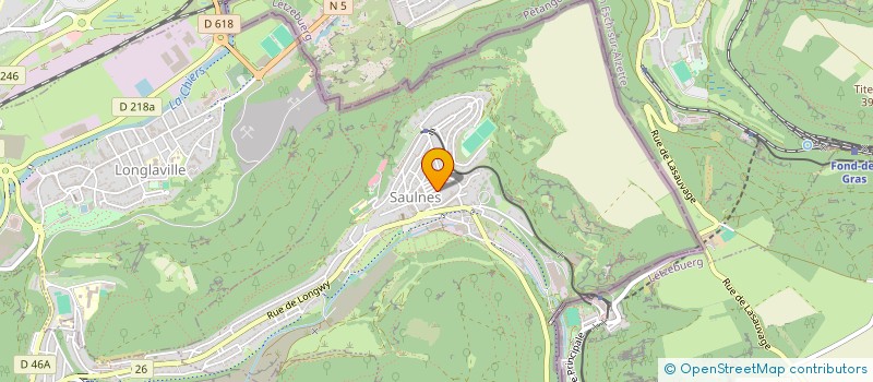 localisation de l'entreprise MADAME SANDRA MARIA BATISTA FERNANDES  SAULNES