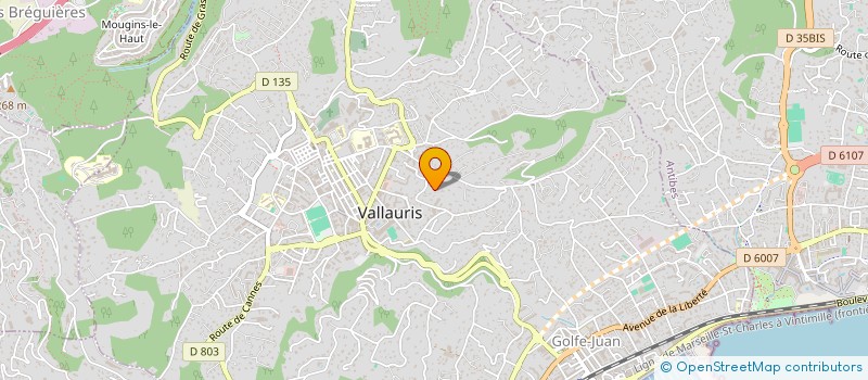 localisation de l'entreprise MADAME SANDRA MARIE WEISS  VALLAURIS