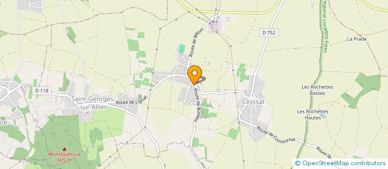 localisation de l'entreprise MADAME SANDRA MASSON  SAINT-GEORGES-SUR-ALLIER