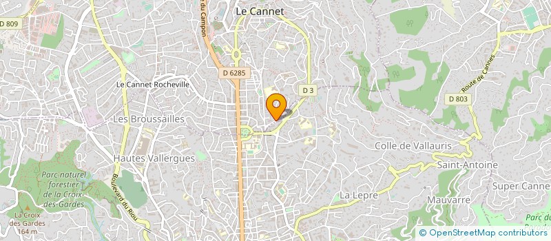localisation de l'entreprise MADAME SANDRA MICHEL à LE CANNET