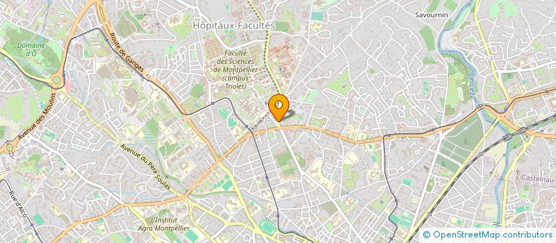 localisation de l'entreprise MADAME SANDRA RAMIREZ MARIN à MONTPELLIER