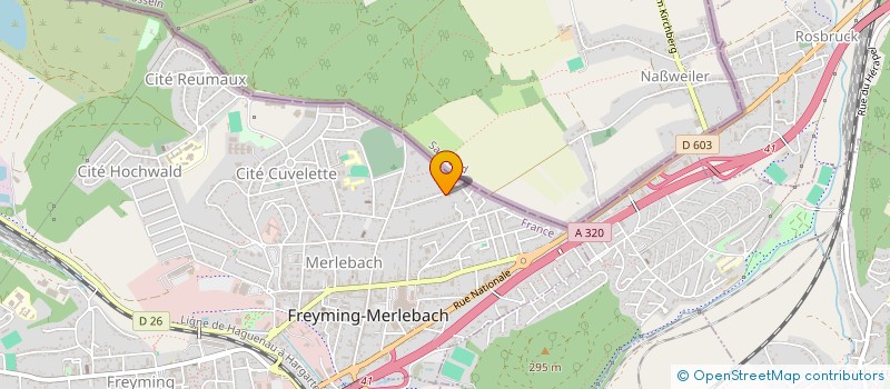 localisation de l'entreprise MADAME SANDRA RIFFEL  FREYMING-MERLEBACH