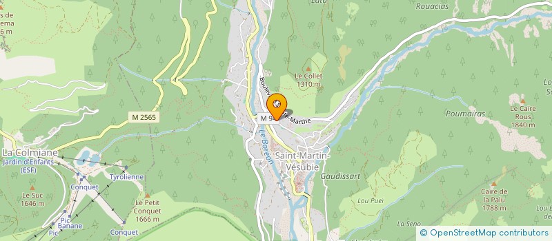 localisation de l'entreprise MADAME SANDRA WALSH  SAINT-MARTIN-VESUBIE