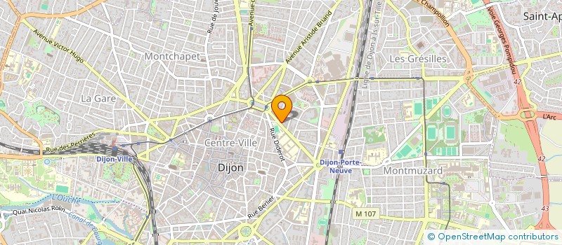 localisation de l'entreprise MADAME SANDRINE ANNE  DIJON