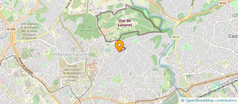 localisation de l'entreprise MADAME SANDRINE BEAUMONT à MONTPELLIER