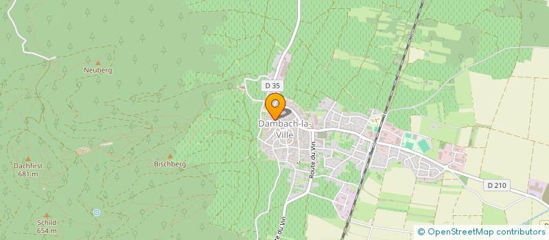 localisation de l'entreprise MADAME SANDRINE BEDEZ  DAMBACH-LA-VILLE