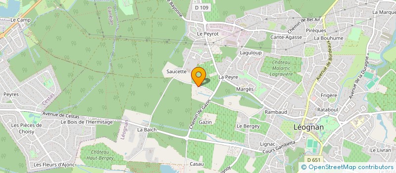 localisation de l'entreprise MADAME SANDRINE BERSON à LEOGNAN