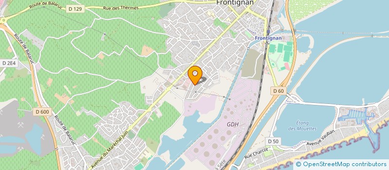 localisation de l'entreprise MADAME SANDRINE BOULLONNOIS à FRONTIGNAN