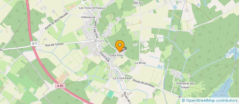 localisation de l'entreprise MADAME SANDRINE BOURIGAULT  LES BOIS D'ANJOU