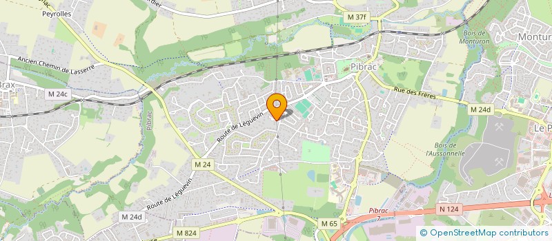 localisation de l'entreprise MADAME SANDRINE CHAMPAGNE  PIBRAC