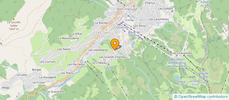 localisation de l'entreprise MADAME SANDRINE CHASSAGNEUX  LES GETS