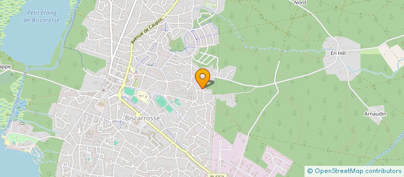 localisation de l'entreprise MADAME SANDRINE DEPRES  BISCARROSSE