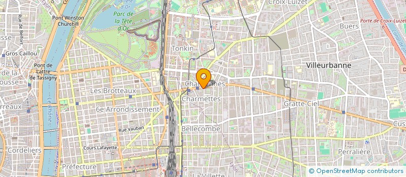 localisation de l'entreprise MADAME SANDRINE FANNY DESMURS  VILLEURBANNE