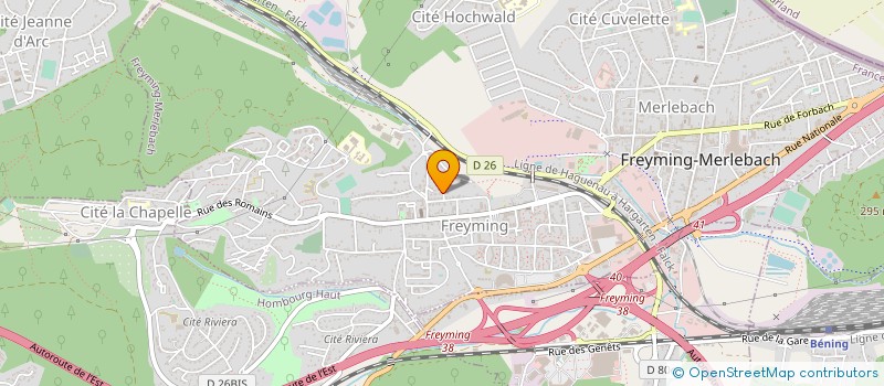 localisation de l'entreprise MADAME SANDRINE FAVARI  FREYMING-MERLEBACH