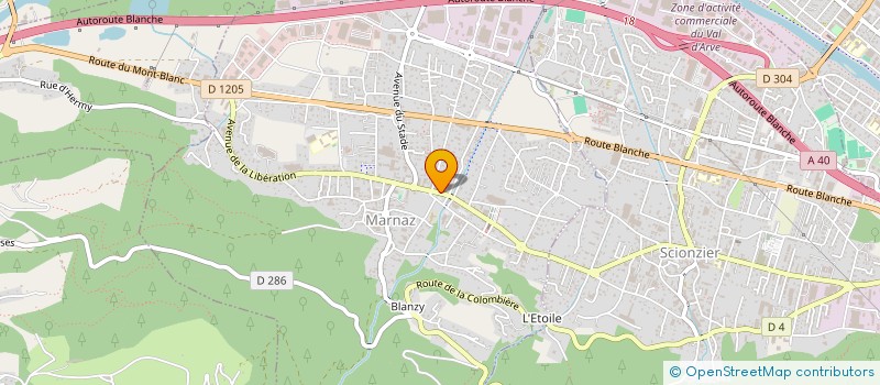 localisation de l'entreprise MADAME SANDRINE FLAMANT  MARNAZ