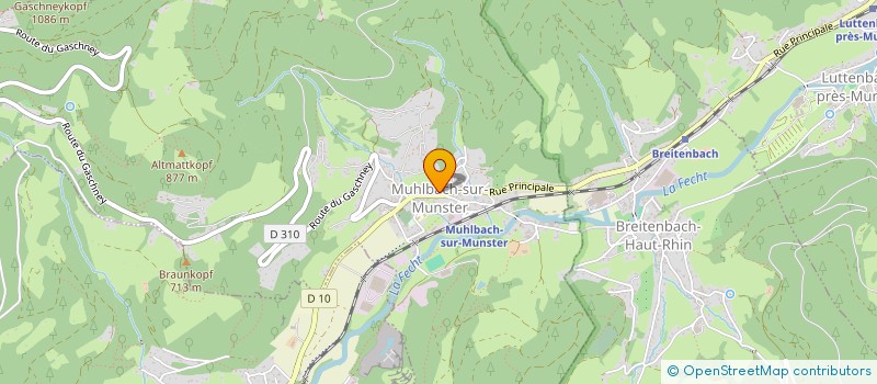 localisation de l'entreprise MADAME SANDRINE HUNZINGER à MUHLBACH-SUR-MUNSTER