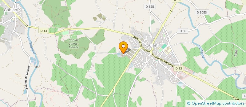 localisation de l'entreprise MADAME SANDRINE IENGO  ROUJAN