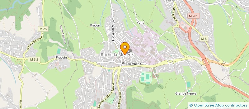 localisation de l'entreprise MADAME SANDRINE JANIK  ROCHE-LA-MOLIERE