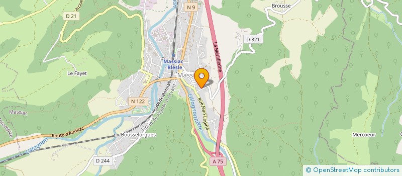 localisation de l'entreprise MADAME SANDRINE LANTUEJOUL à MASSIAC