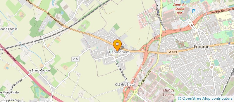 localisation de l'entreprise MADAME SANDRINE MANESSE à LILLE
