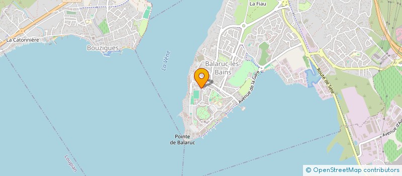 localisation de l'entreprise MADAME SANDRINE MANNIEZ  BALARUC-LES-BAINS