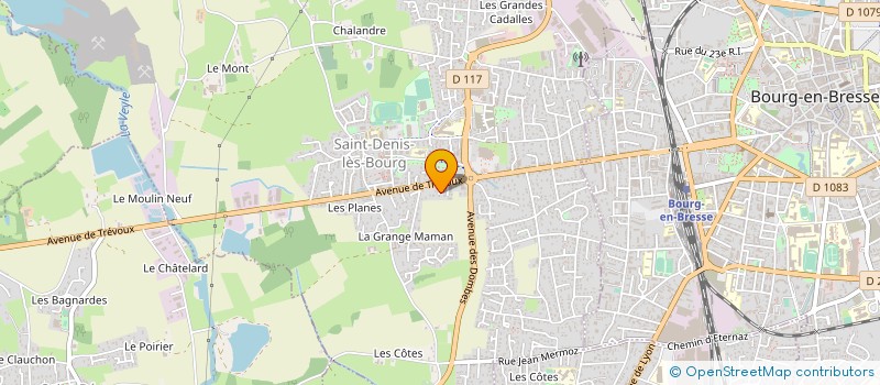 localisation de l'entreprise MADAME SANDRINE MICHON à SAINT-DENIS-LES-BOURG