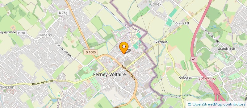 localisation de l'entreprise MADAME SANDRINE MILLIOT à FERNEY-VOLTAIRE