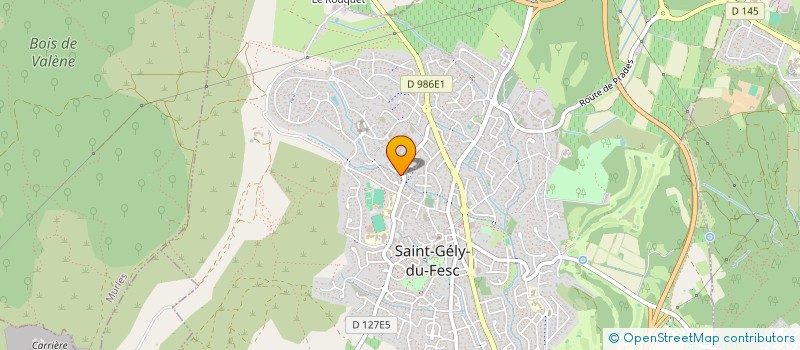 localisation de l'entreprise MADAME SANDRINE NAVARRO à SAINT-GELY-DU-FESC