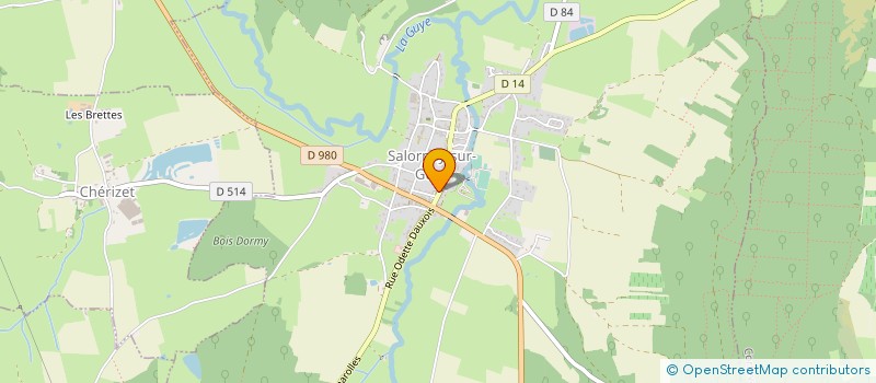 localisation de l'entreprise MADAME SANDRINE PARANT  SAINT-GENGOUX-LE-NATIONAL