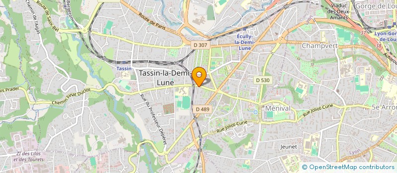 localisation de l'entreprise MADAME SANDRINE PROTON à TASSIN-LA-DEMI-LUNE