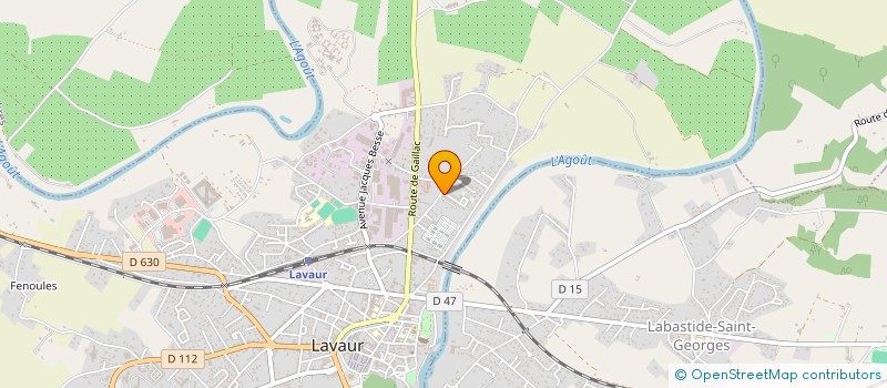 localisation de l'entreprise MADAME SANDRINE PRZENIESLO  LAVAUR