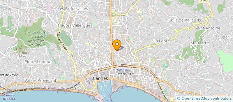localisation de l'entreprise MADAME SANDRINE PULIDO à CANNES