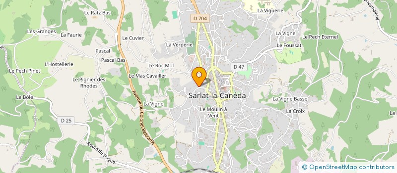 localisation de l'entreprise MADAME SANDRINE RIBEIRO à SARLAT-LA-CANEDA
