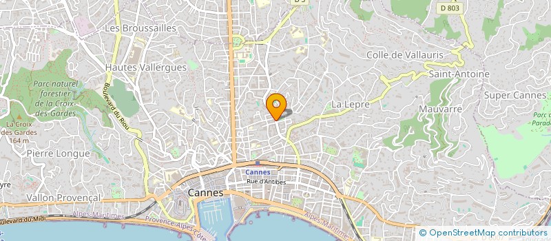 localisation de l'entreprise MADAME SANDRINE RICHARD à CANNES
